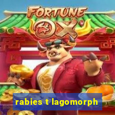 rabies t lagomorph