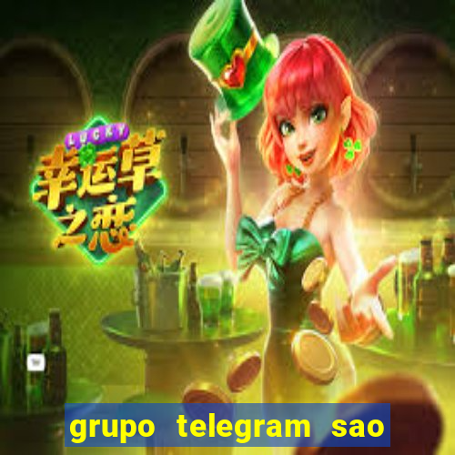 grupo telegram sao jose do rio preto