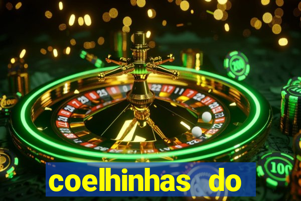 coelhinhas do brasil recife