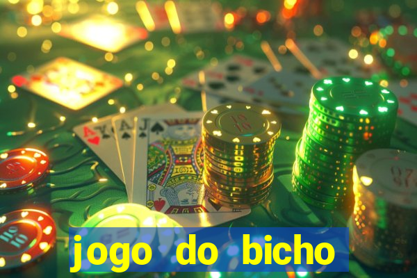 jogo do bicho crash bingo