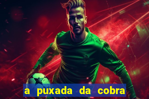 a puxada da cobra no jogo do bicho