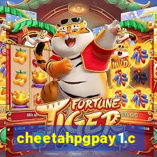 cheetahpgpay1.com