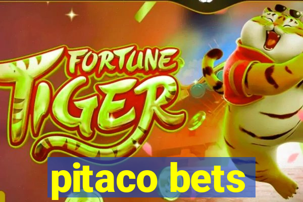 pitaco bets