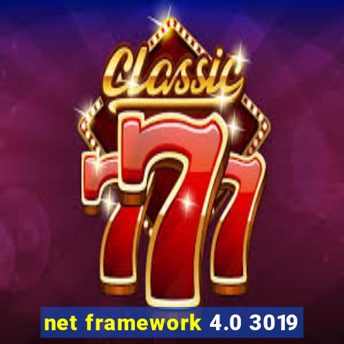 net framework 4.0 3019