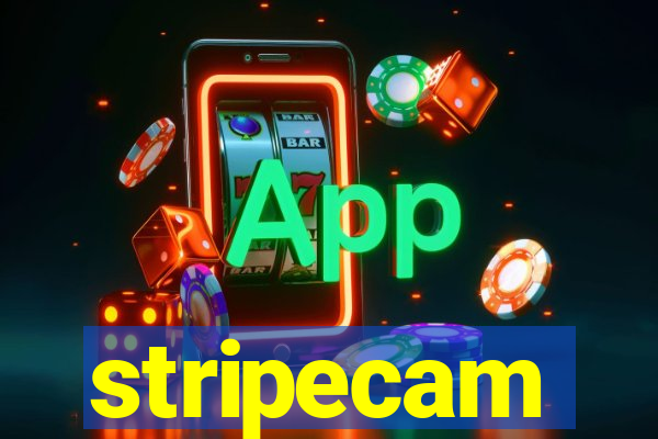 stripecam